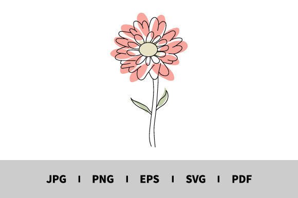 A Designer's Review: One Line Flower Graphics for Illustrations
