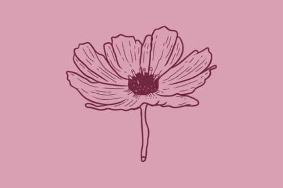 A Vintage Botanical Illustration for Modern Design Projects