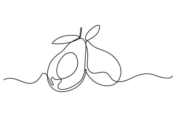 Avocado One Continuous Line: Graphics & Illustrations