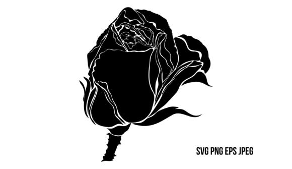 Black Rose Graphics: An Illustration Review for Sellers