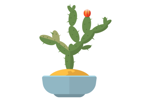 Blooming Cacti Graphics for Brand Storytelling