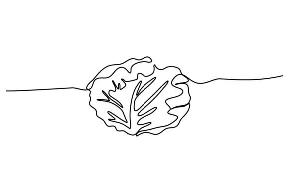 Cabbage One Continuous Line: A Graphic Asset for Modern Creatives