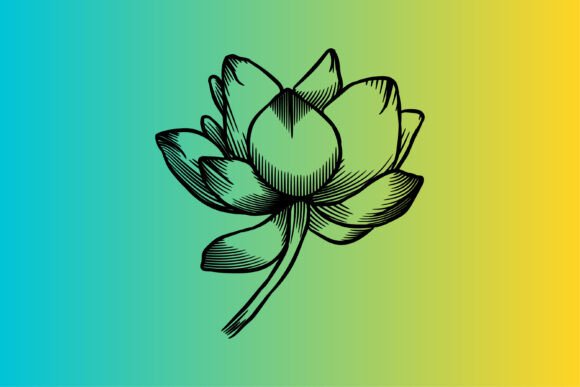 Crafting with Lotus Line Gradient Graphics