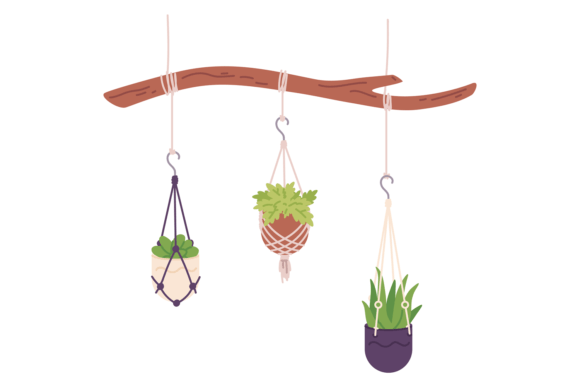 Houseplant Hanging Graphics: A Seller’s Review for Illustrations