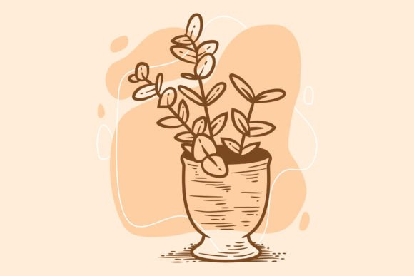 Ornamental Plants in Pots: Graphics & Illustrations Review