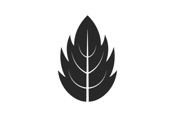 Reviewing the Black Leaf Graphic for Publishing